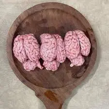 Mutton Brain(1Nos)